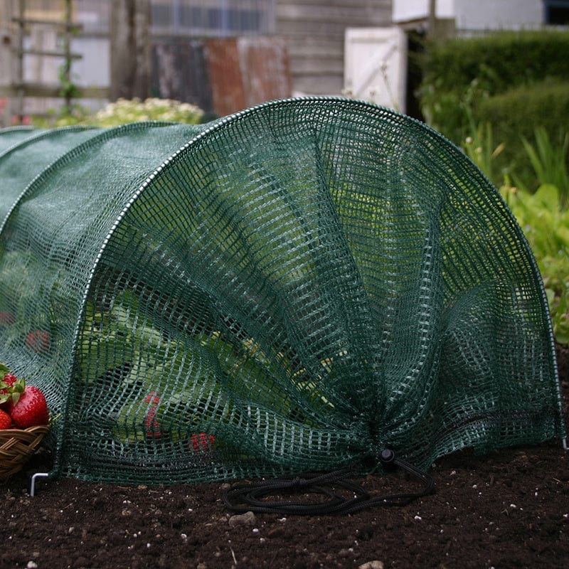 Easy Net Tunnel