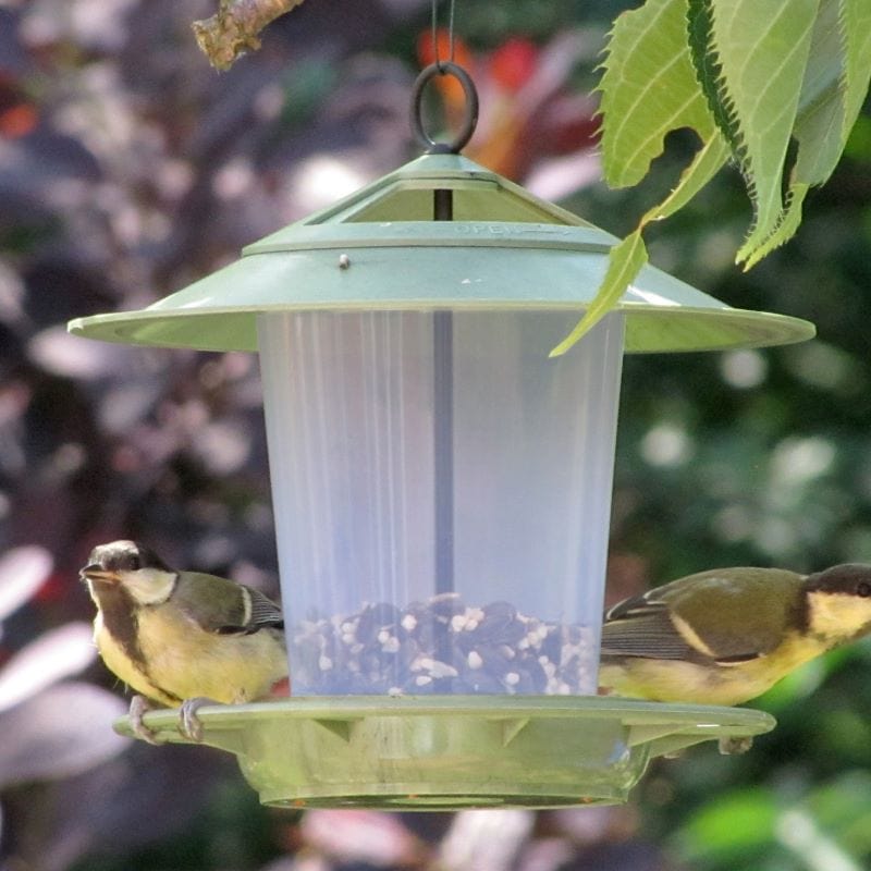 Eco Beacon Bird Feeder From Mr Fothergill's Seeds