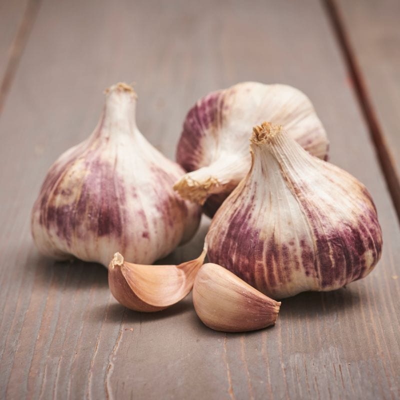 Garlic Germidour