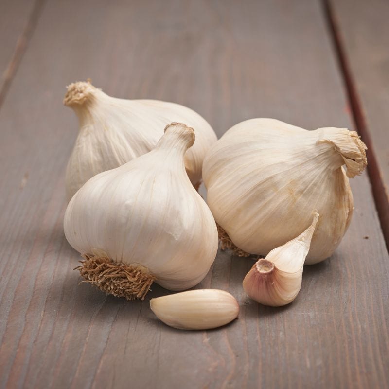 Garlic Messidrome