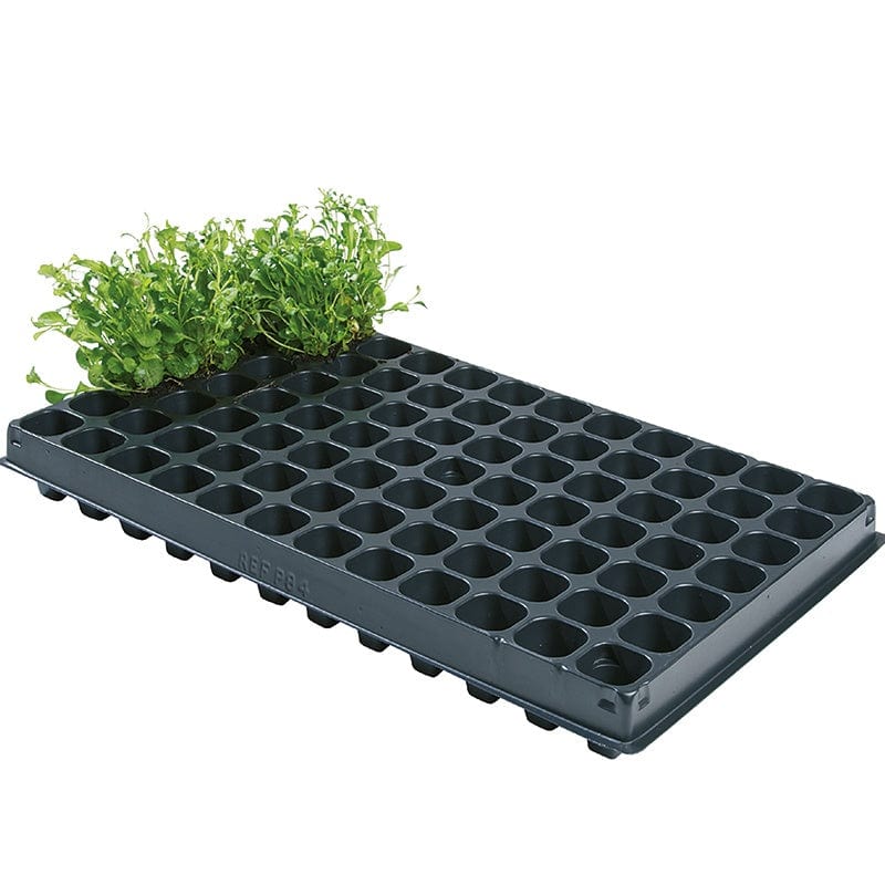 Plug Propagation Tray 84 Cells x 2 From Mr Fothergill's Seeds and Plants