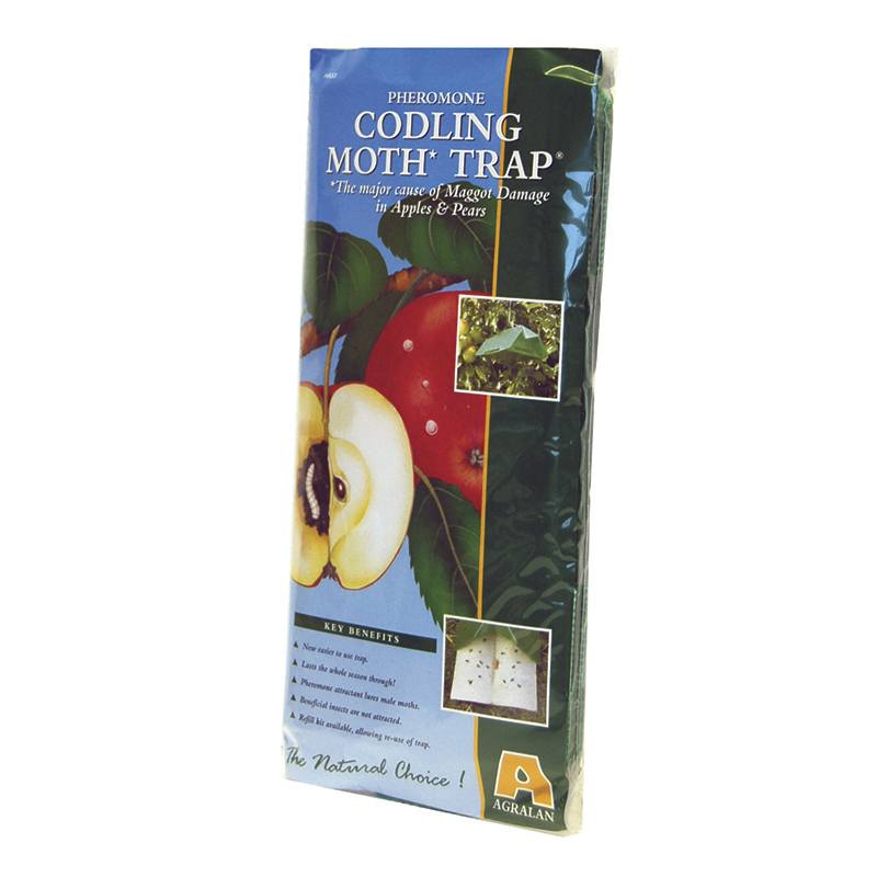 Codling Moth Trap & Refill Pack