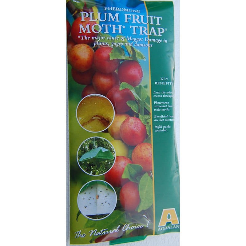Fruit Moth Trap & Refill Pack