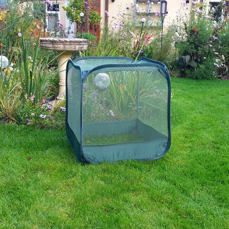 Mini Pop Up Net Cloche