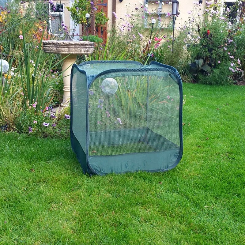 Mini Pop-Up Net Cloche