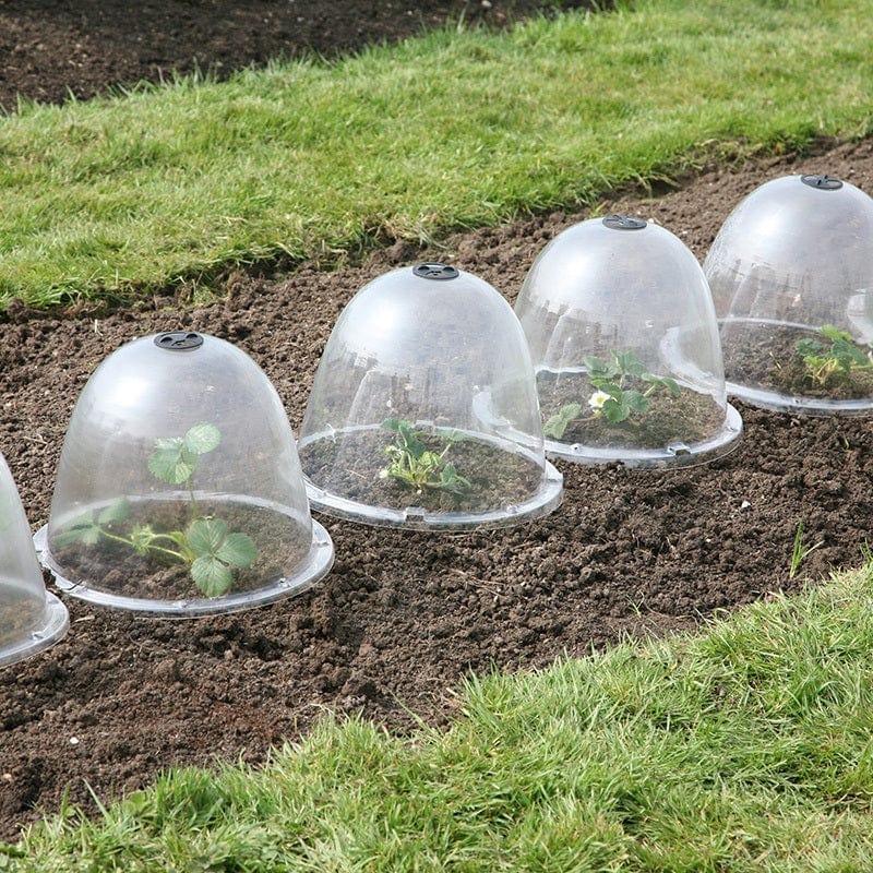 Victorian Bell Cloches x 3