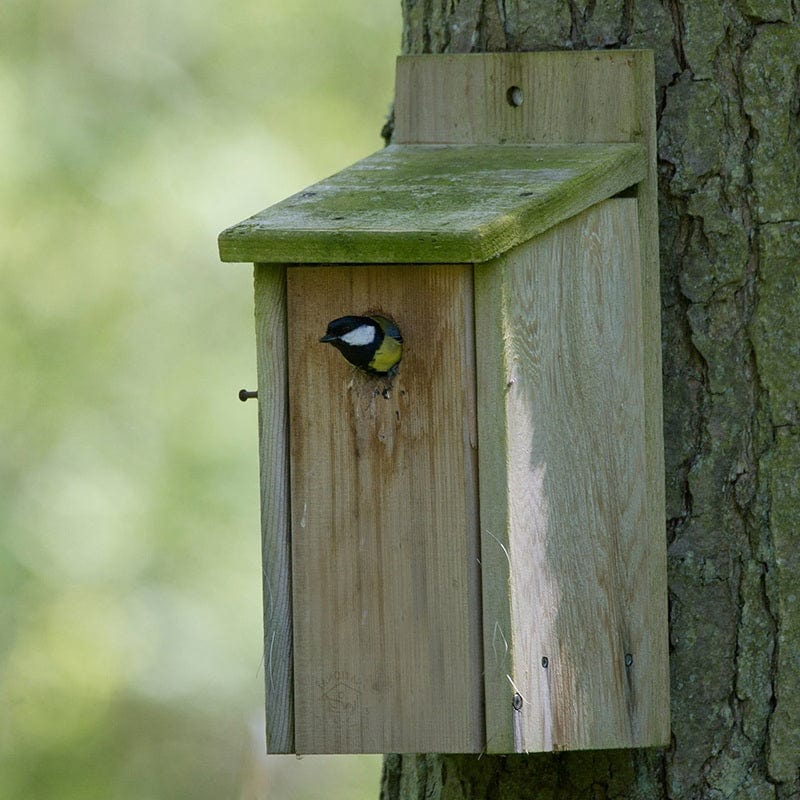 The Official™ Cedar Nest Box 26mm