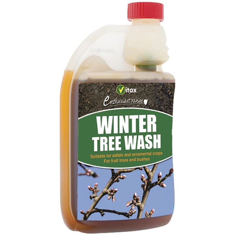 Winter Tree Wash