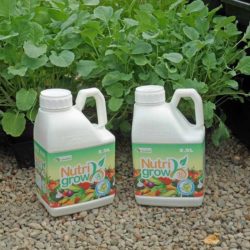 Quadgrow Pots Watering System, 8 Pot