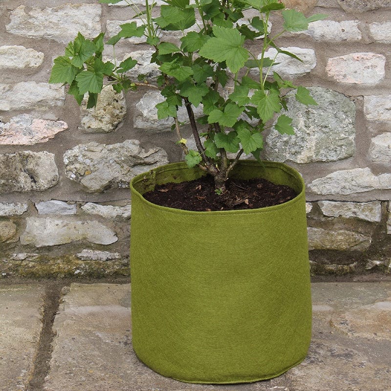 Vigoroot Pots 20ltr