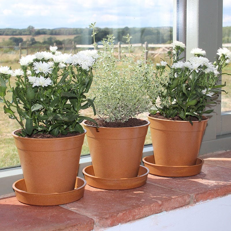 Bamboo Pots and Saucers