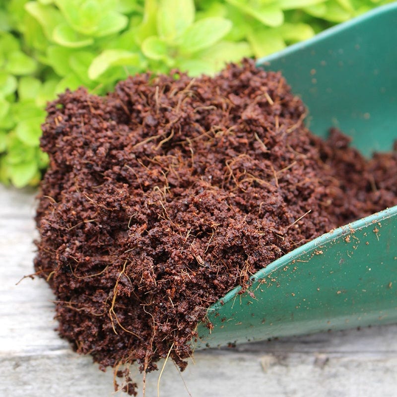 Coco Grow Pure Coir Compost
