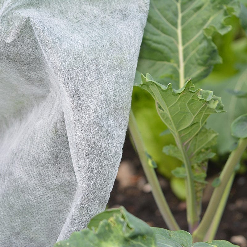 Plant Protection Fleece
