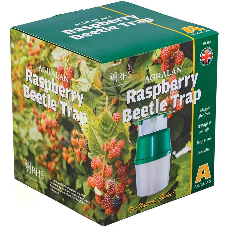 Raspberry Beetle Trap & Refill Pack
