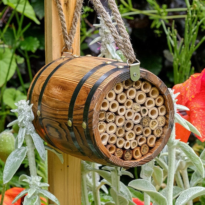 Bee Barrel