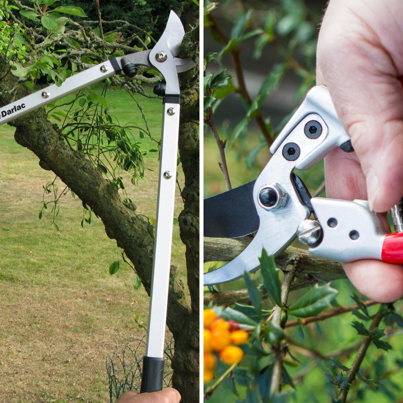 Darlac Expert Secateurs & Loppers Set