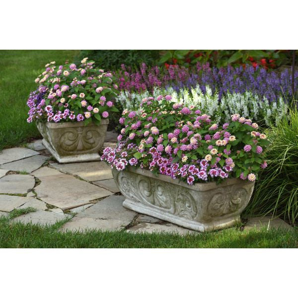 Decorative stone planters with flowers on a stone patio