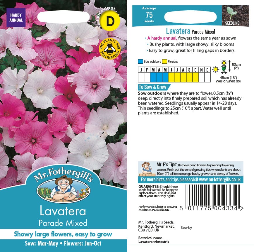 Lavatera Parade Mixed