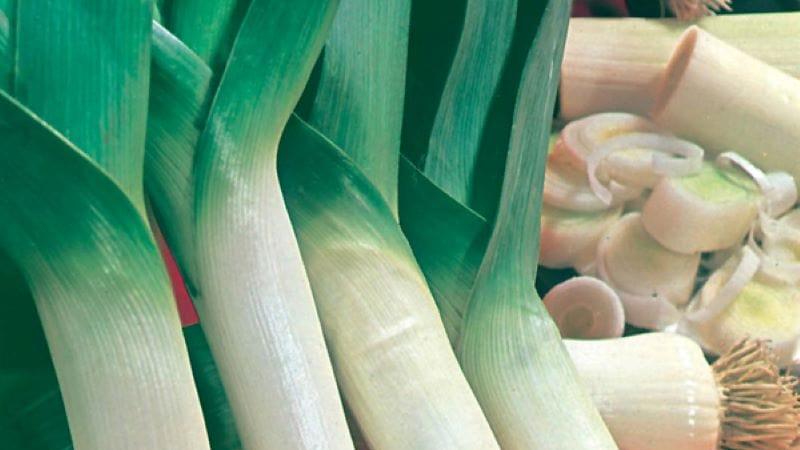 LEEK Lyon 2 (Prizetaker) Seeds