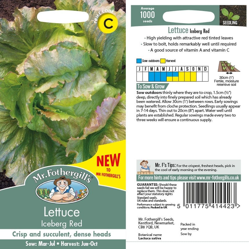 Lettuce Iceberg Red Seeds