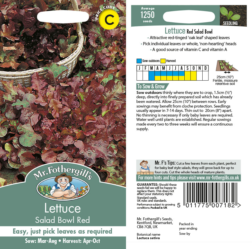 Lettuce Salad Bowl Red Seeds