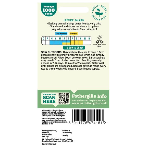 Lettuce Saladin Seeds