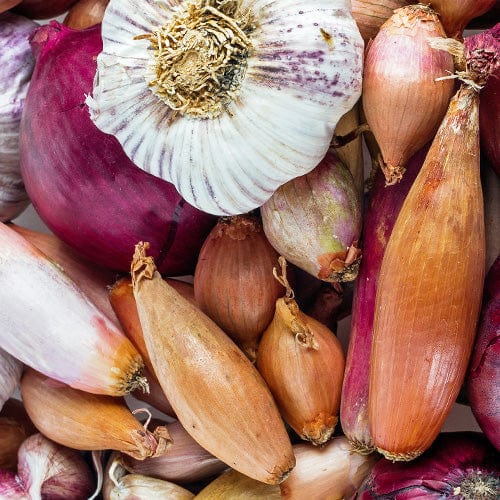 Free Delivery On EVERY Order