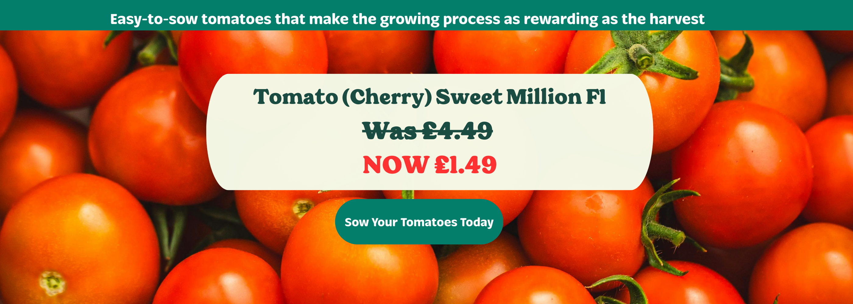 Tomatoes with a promotional label for 'Sweet Million F1' tomato seeds.