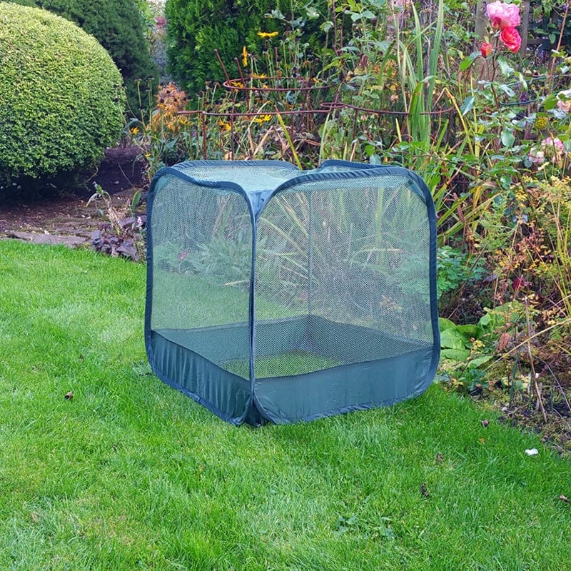 Mini Pop-Up Net Cloche