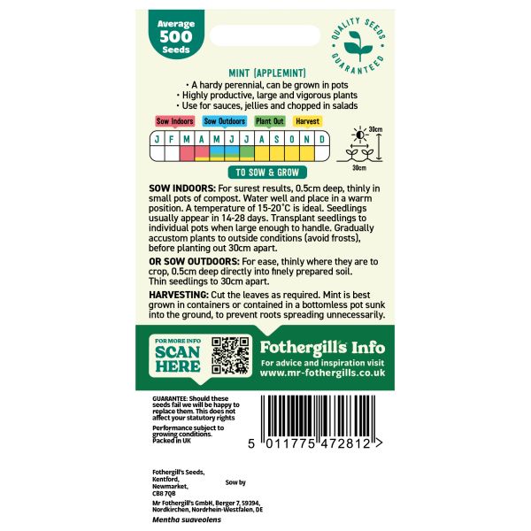 Mint Applemint Herb Seeds
