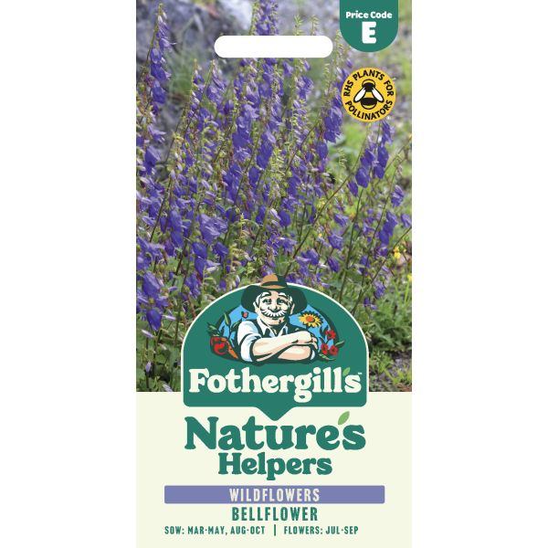 Nature's Helpers Bellflower Wildflower Seeds