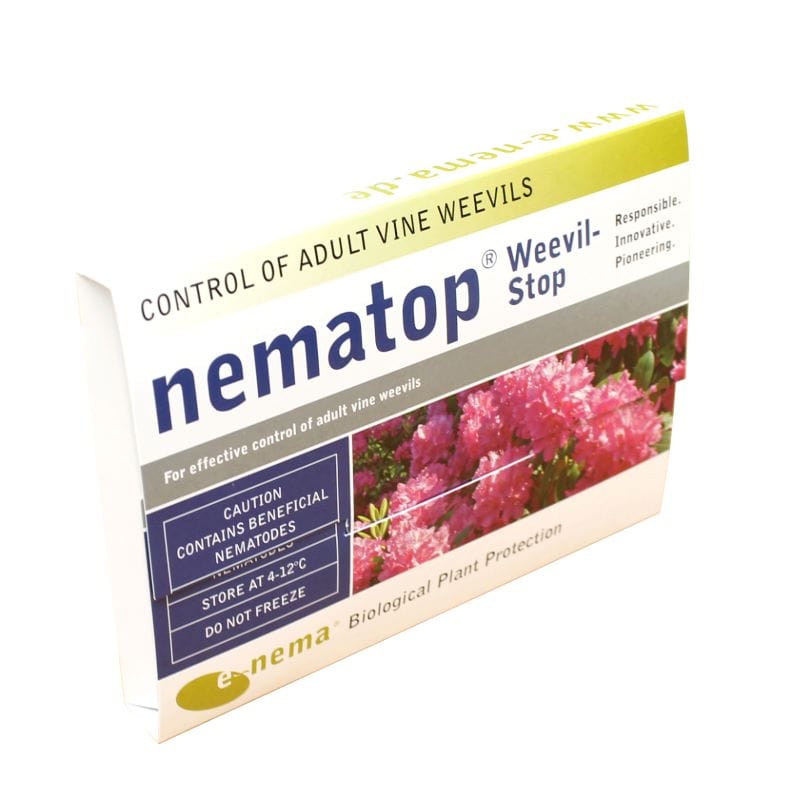 Nematop Adult Vine Weevil Trap