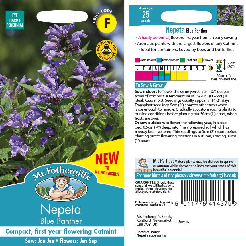 Nepeta Blue Panther Seeds