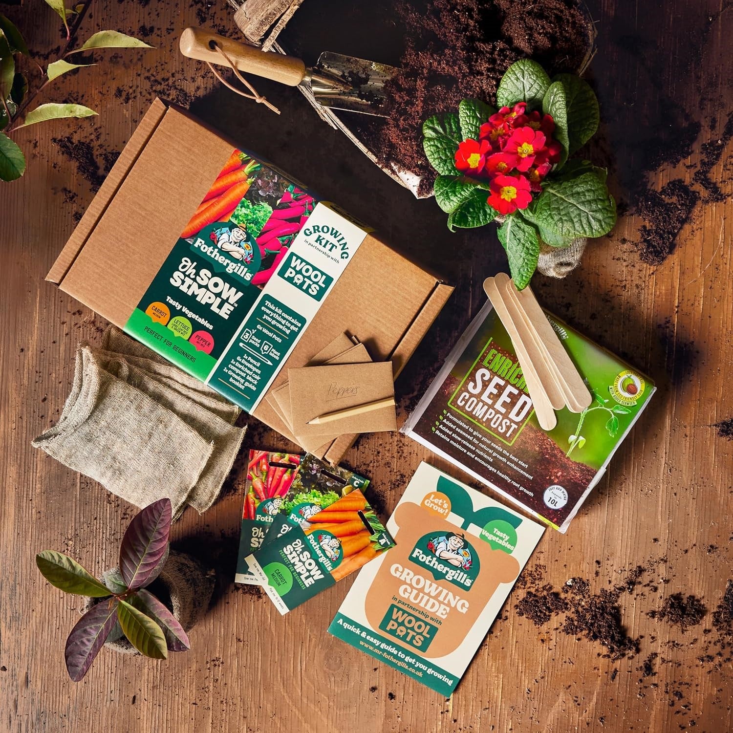 Oh Sow Simple Flowers Growing Kit