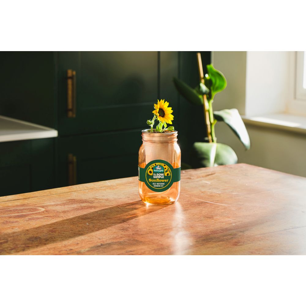 Oh Sow Simple Self-Watering Grow Kit - Sunflower