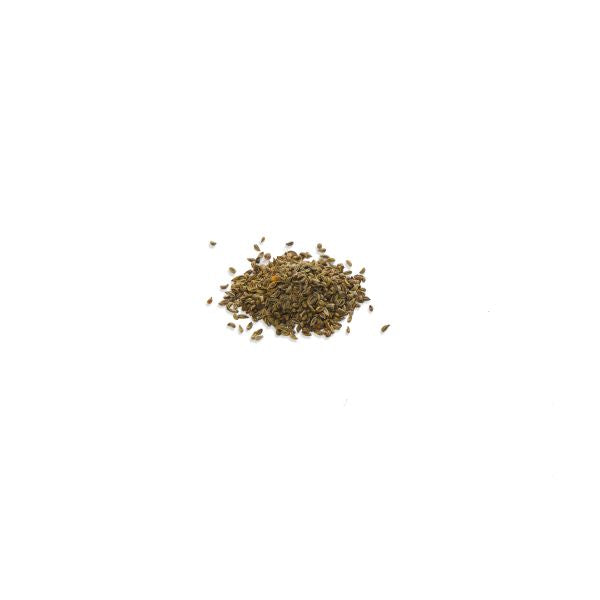 Oh Sow Simple Self-Watering Grow Kit – Parsley