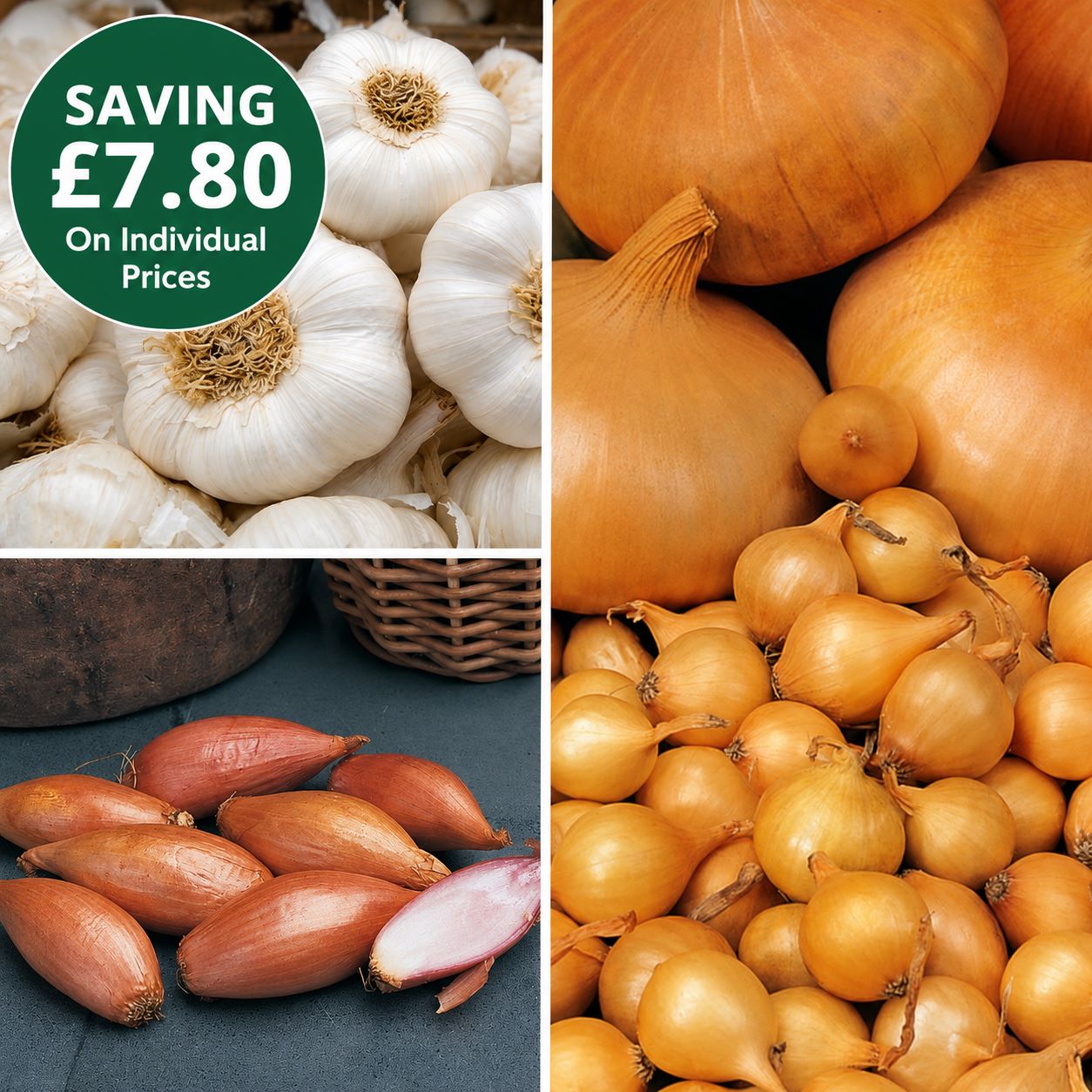 Autumn Planting Onion Sets Collection