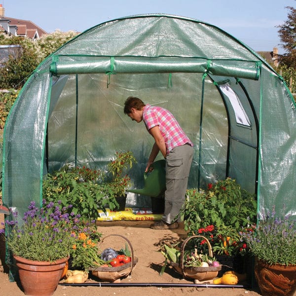 Polytunnel