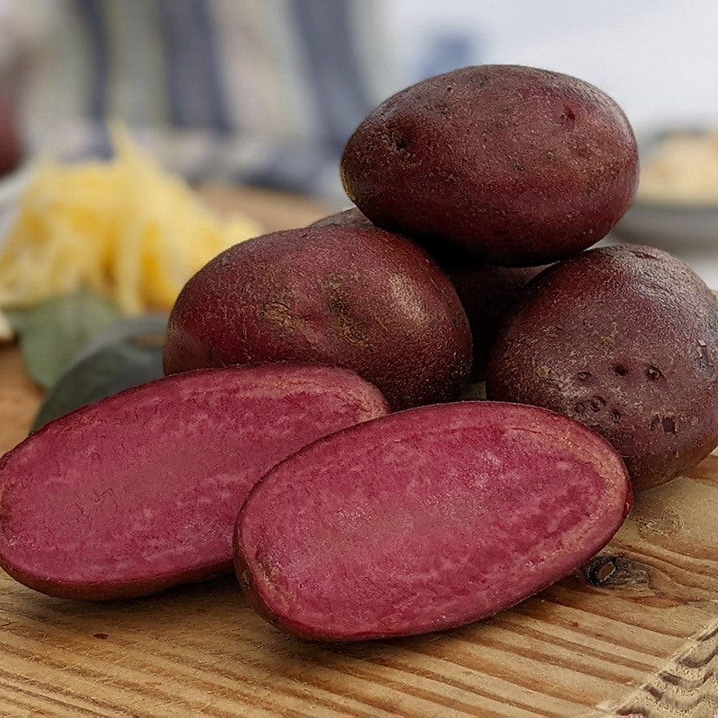 Potato Heidi Red (Maincrop Potato)