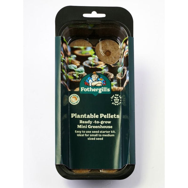 Product 4