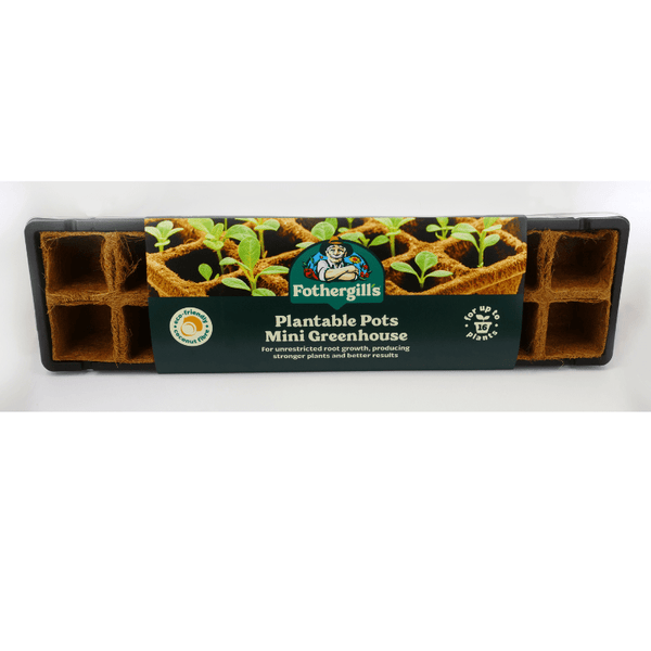 Product 5