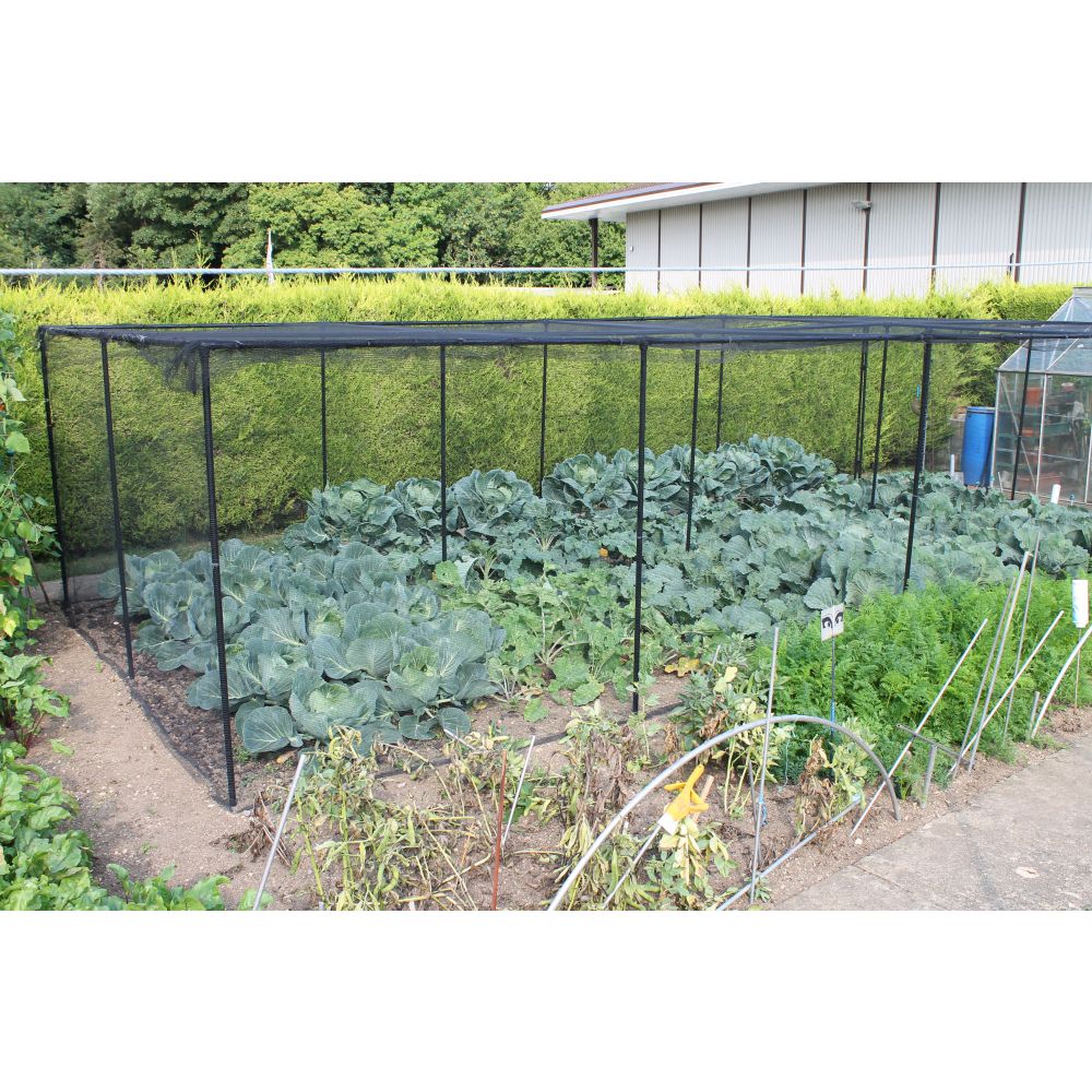 Vegetable garden with a black wire fence in a rural setting