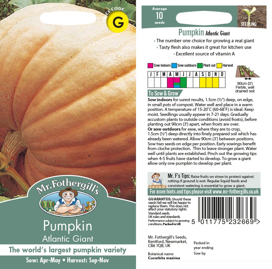 Pumpkin Atlantic Giant Seeds