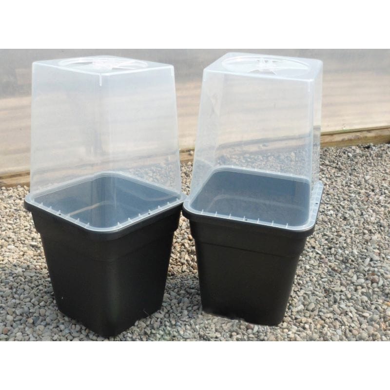 Quadgrow Watering System Clear Propagation Lids