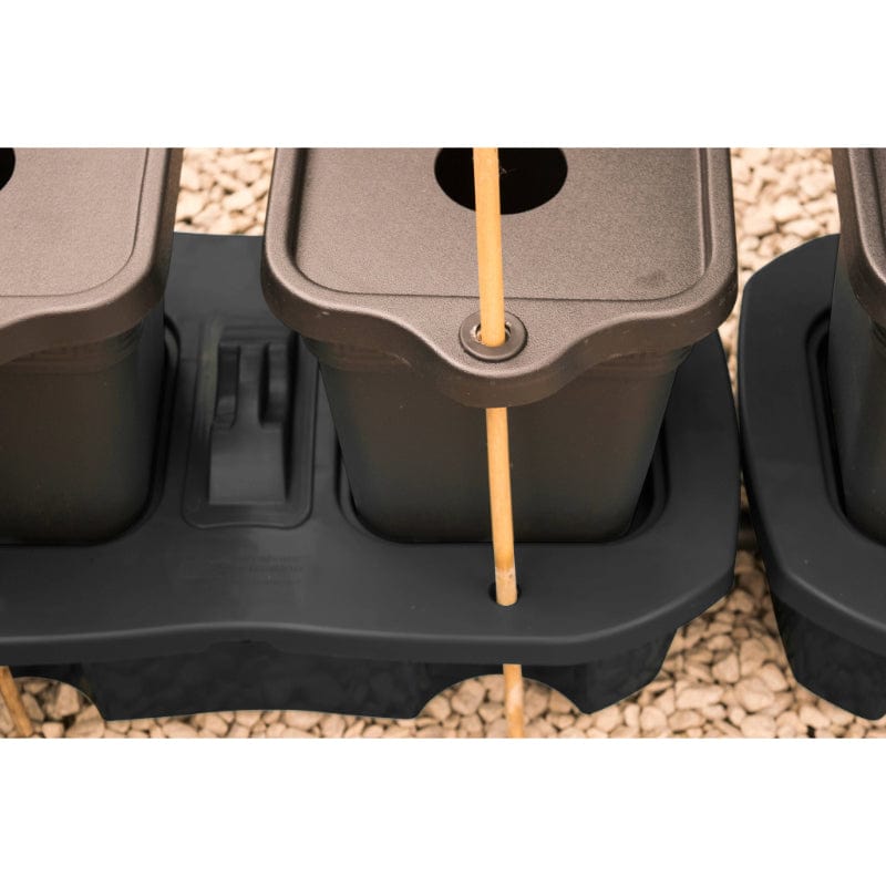 Quadgrow   Watering    System    Mulch    Cap    and    Cane    Support    Lid x 4