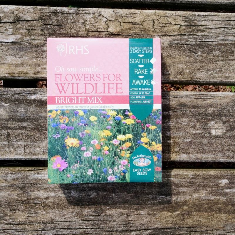 RHS Flowers For Wildlife Bright Mix