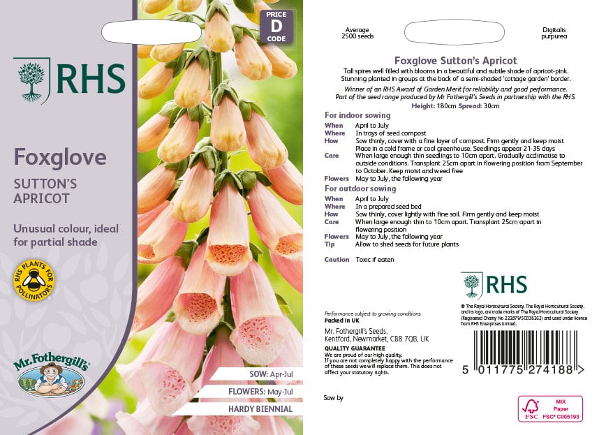 RHS Foxglove Sutton's Apricot