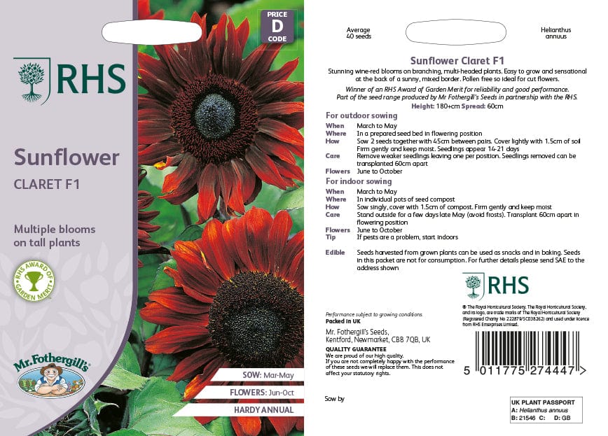 RHS Sunflower Claret F1