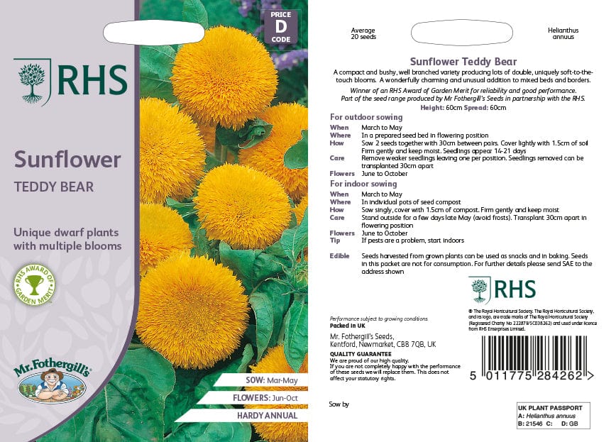 RHS Teddy Bear Sunflower Seeds