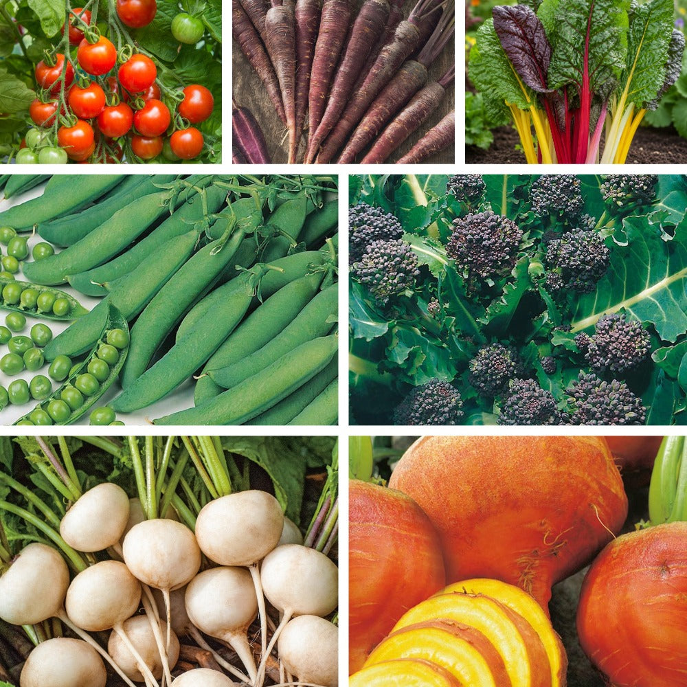 Rainbow veg collection